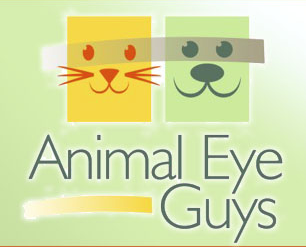 Animal Eye Guys